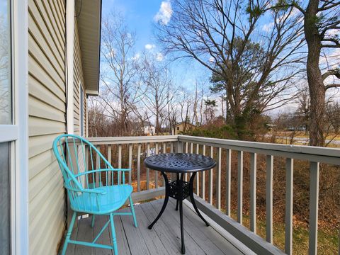 Tiny photo for 224 Cashen Drive, Makanda, IL 62958 (MLS # 12568723)