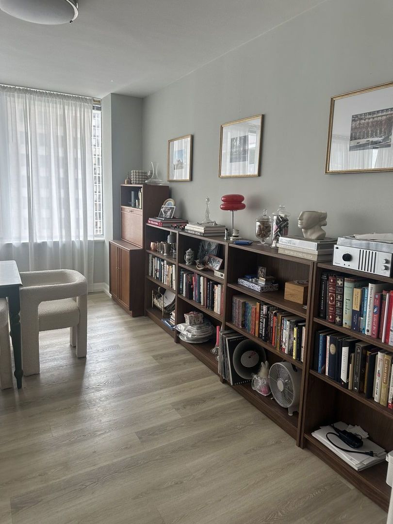 1000 N Lake Shore Drive 2301
