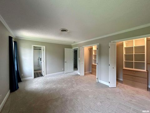 Tiny photo for 317 S Lu Court, Carbondale, IL 62901 (MLS # EB458892)