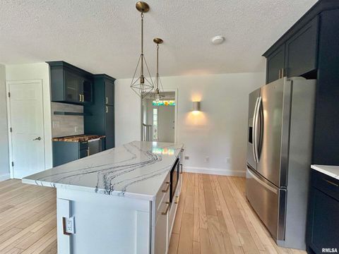 Tiny photo for 317 S Lu Court, Carbondale, IL 62901 (MLS # EB458892)