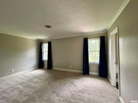 Tiny photo for 317 S Lu Court, Carbondale, IL 62901 (MLS # EB458892)