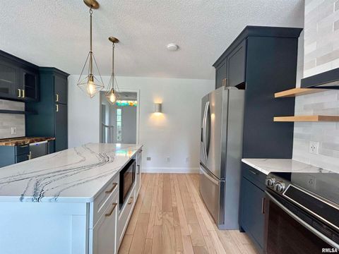 Tiny photo for 317 S Lu Court, Carbondale, IL 62901 (MLS # EB458892)