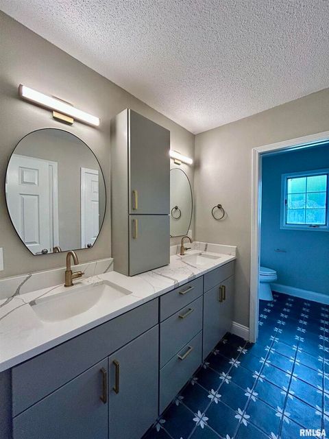 Tiny photo for 317 S Lu Court, Carbondale, IL 62901 (MLS # EB458892)