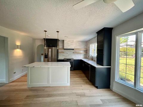 Tiny photo for 317 S Lu Court, Carbondale, IL 62901 (MLS # EB458892)