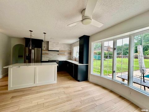 Tiny photo for 317 S Lu Court, Carbondale, IL 62901 (MLS # EB458892)