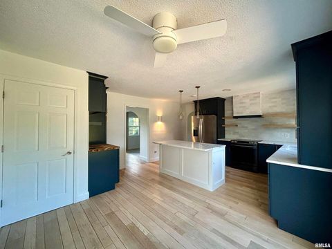 Tiny photo for 317 S Lu Court, Carbondale, IL 62901 (MLS # EB458892)