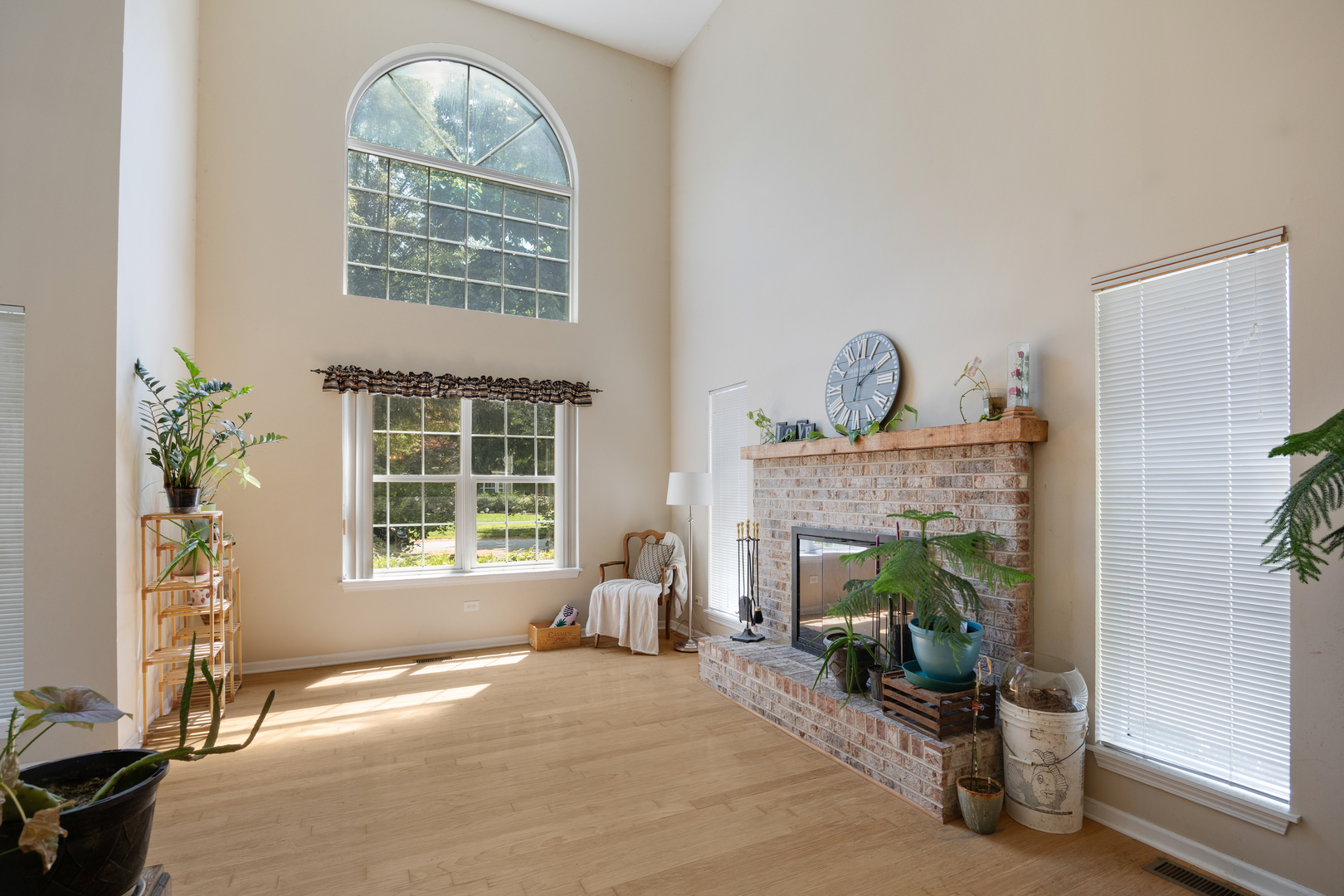 8566 Cedar Street