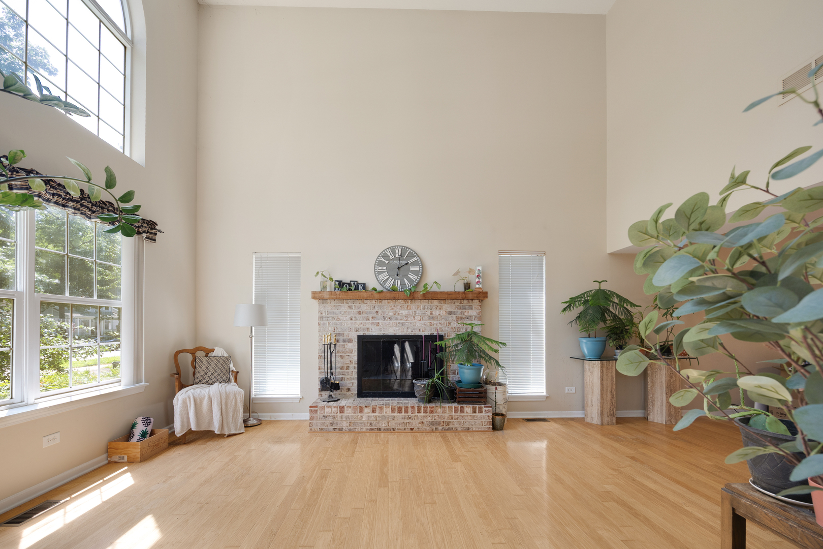 8566 Cedar Street