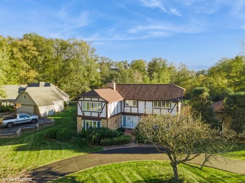 A home in Homer Glen