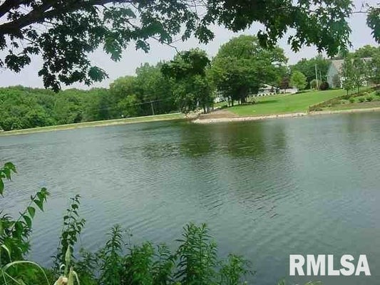 100 RUSTIC LAKE CT, COLONA, IL 61241 - Image 09eedef4a54c7521040bafbdf0634d21/3790915049
