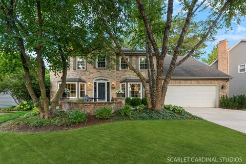 854 Raintree Drive Naperville IL 60540