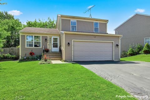 Photo of 1995 N Nicole Lane, Round Lake Beach, IL 60073 (MLS # 12674040)