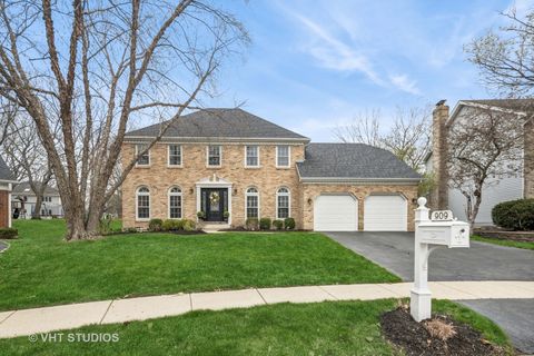 909 Lehigh Circle Naperville IL 60565