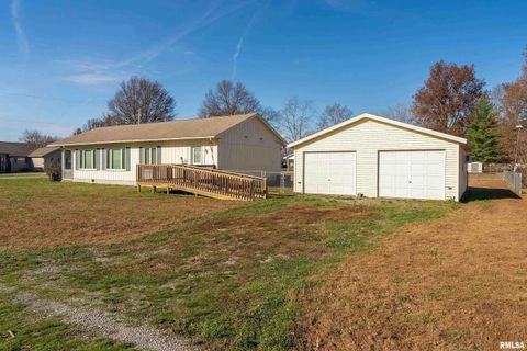 Tiny photo for 516 S SAFFORD Street, Christopher, IL 62822 (MLS # QC4269710)