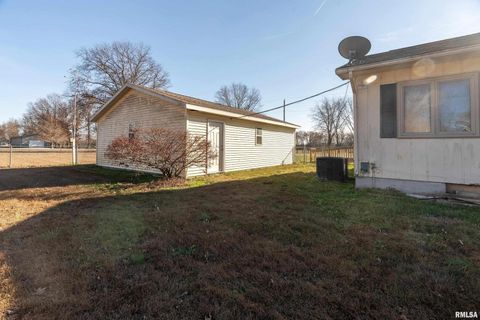 Tiny photo for 516 S SAFFORD Street, Christopher, IL 62822 (MLS # QC4269710)