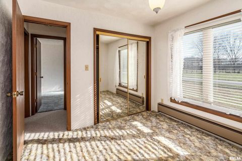 Tiny photo for 516 S SAFFORD Street, Christopher, IL 62822 (MLS # QC4269710)