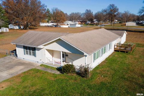 Tiny photo for 516 S SAFFORD Street, Christopher, IL 62822 (MLS # QC4269710)