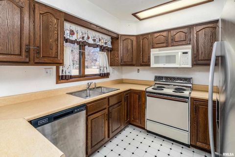 Tiny photo for 516 S SAFFORD Street, Christopher, IL 62822 (MLS # QC4269710)