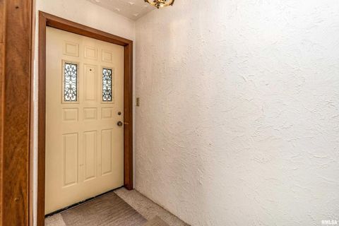 Tiny photo for 516 S SAFFORD Street, Christopher, IL 62822 (MLS # QC4269710)