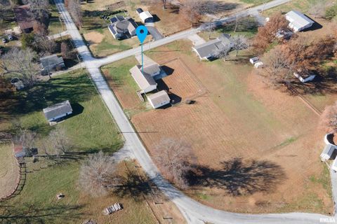 Tiny photo for 516 S SAFFORD Street, Christopher, IL 62822 (MLS # QC4269710)