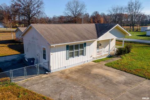 Tiny photo for 516 S SAFFORD Street, Christopher, IL 62822 (MLS # QC4269710)