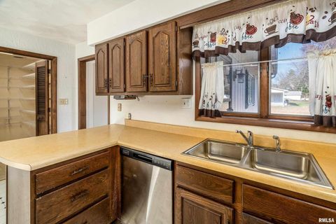 Tiny photo for 516 S SAFFORD Street, Christopher, IL 62822 (MLS # QC4269710)