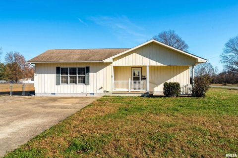 Tiny photo for 516 S SAFFORD Street, Christopher, IL 62822 (MLS # QC4269710)