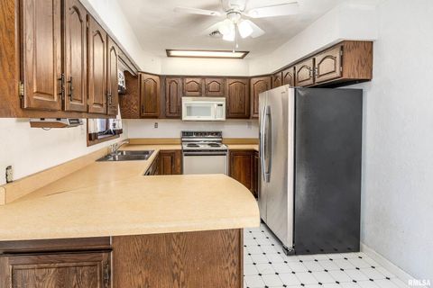 Tiny photo for 516 S SAFFORD Street, Christopher, IL 62822 (MLS # QC4269710)