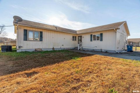 Tiny photo for 516 S SAFFORD Street, Christopher, IL 62822 (MLS # QC4269710)