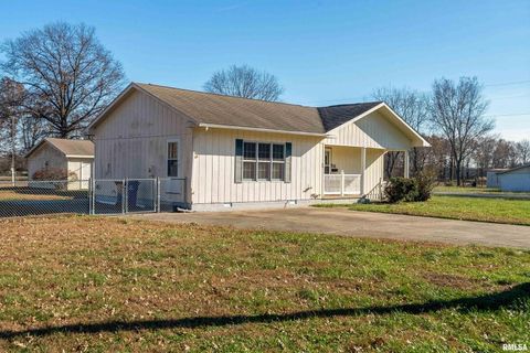 Tiny photo for 516 S SAFFORD Street, Christopher, IL 62822 (MLS # QC4269710)