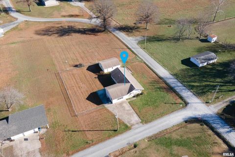 Tiny photo for 516 S SAFFORD Street, Christopher, IL 62822 (MLS # QC4269710)