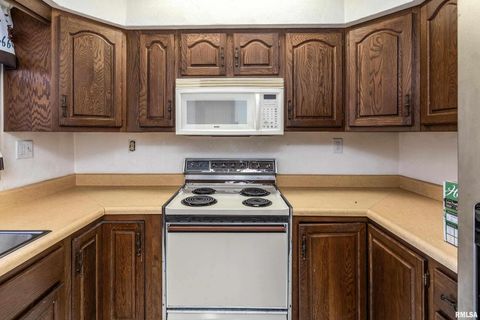 Tiny photo for 516 S SAFFORD Street, Christopher, IL 62822 (MLS # QC4269710)