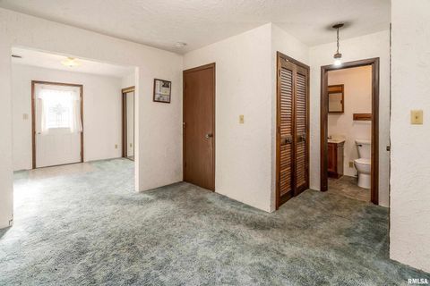 Tiny photo for 516 S SAFFORD Street, Christopher, IL 62822 (MLS # QC4269710)