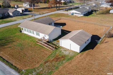 Tiny photo for 516 S SAFFORD Street, Christopher, IL 62822 (MLS # QC4269710)