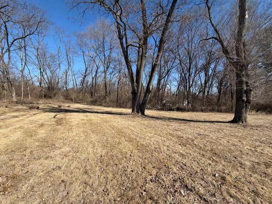 601 MAY ST, LECLAIRE, IA 52753 - Image 0a20ddddd77a414bb9ca246d05e35e2a/108945077