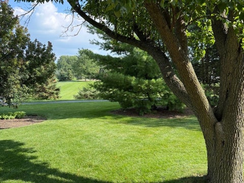 Tiny photo for Lisle, IL 60532 (MLS # 12706671)