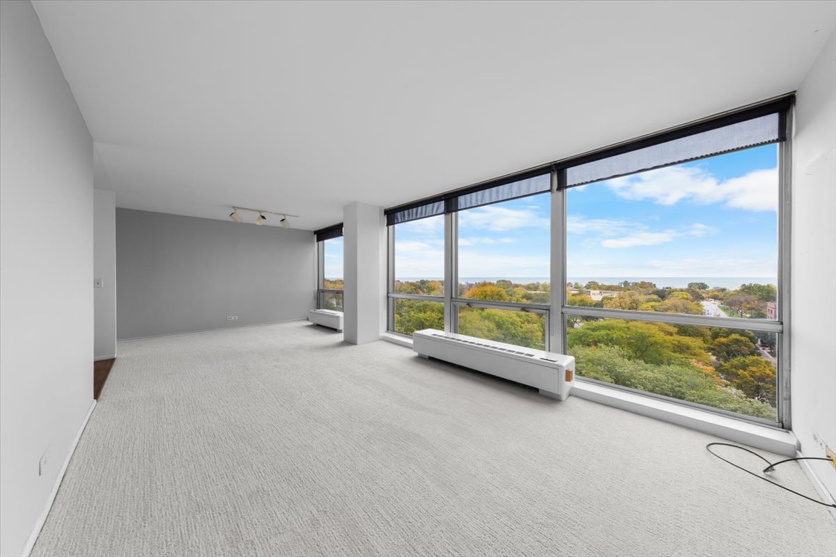 2400 N Lakeview Avenue 1106