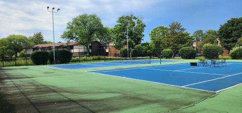 Tiny photo for 462 Raintree Drive #2A, Glen Ellyn, IL 60137 (MLS # 12784358)