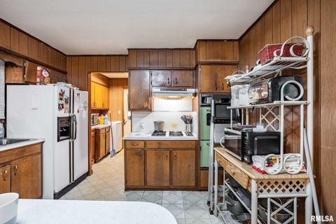 Tiny photo for 800 W 11TH Street, Johnston City, IL 62951 (MLS # QC4269881)