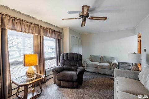 Tiny photo for 800 W 11TH Street, Johnston City, IL 62951 (MLS # QC4269881)