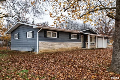 Tiny photo for 800 W 11TH Street, Johnston City, IL 62951 (MLS # QC4269881)