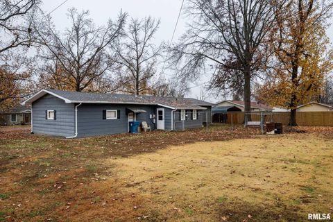 Tiny photo for 800 W 11TH Street, Johnston City, IL 62951 (MLS # QC4269881)