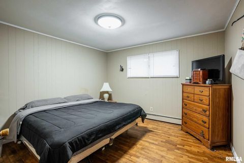 Tiny photo for 800 W 11TH Street, Johnston City, IL 62951 (MLS # QC4269881)