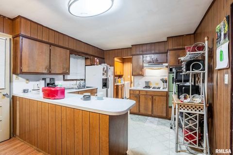 Tiny photo for 800 W 11TH Street, Johnston City, IL 62951 (MLS # QC4269881)