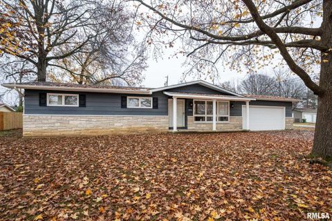 Tiny photo for 800 W 11TH Street, Johnston City, IL 62951 (MLS # QC4269881)
