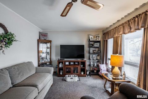 Tiny photo for 800 W 11TH Street, Johnston City, IL 62951 (MLS # QC4269881)