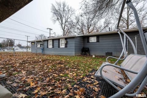 Tiny photo for 800 W 11TH Street, Johnston City, IL 62951 (MLS # QC4269881)