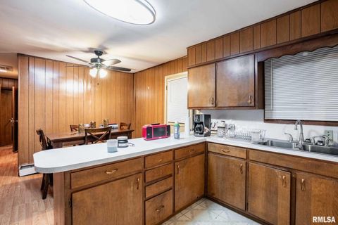 Tiny photo for 800 W 11TH Street, Johnston City, IL 62951 (MLS # QC4269881)