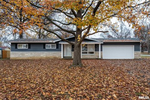 Tiny photo for 800 W 11TH Street, Johnston City, IL 62951 (MLS # QC4269881)