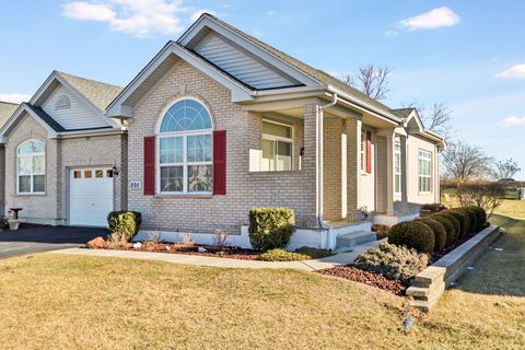Photo of 895 Eineke Boulevard, Algonquin, IL 60102 (MLS # 12574982)